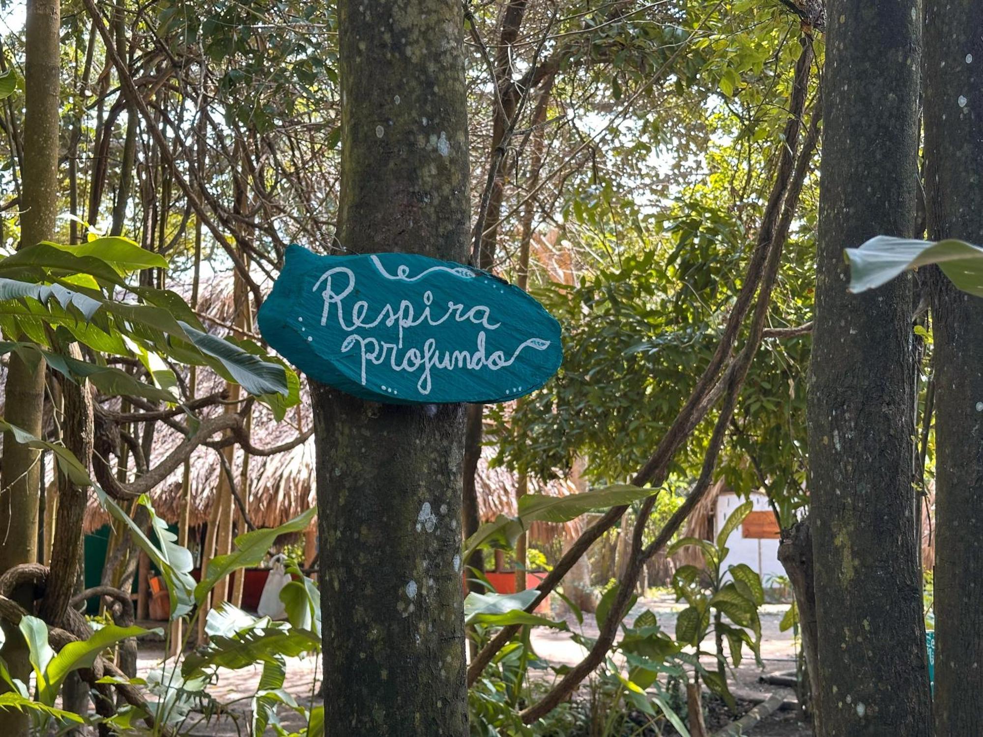 La Aldea Hostel, Camping Y Hamacas Palomino Dış mekan fotoğraf