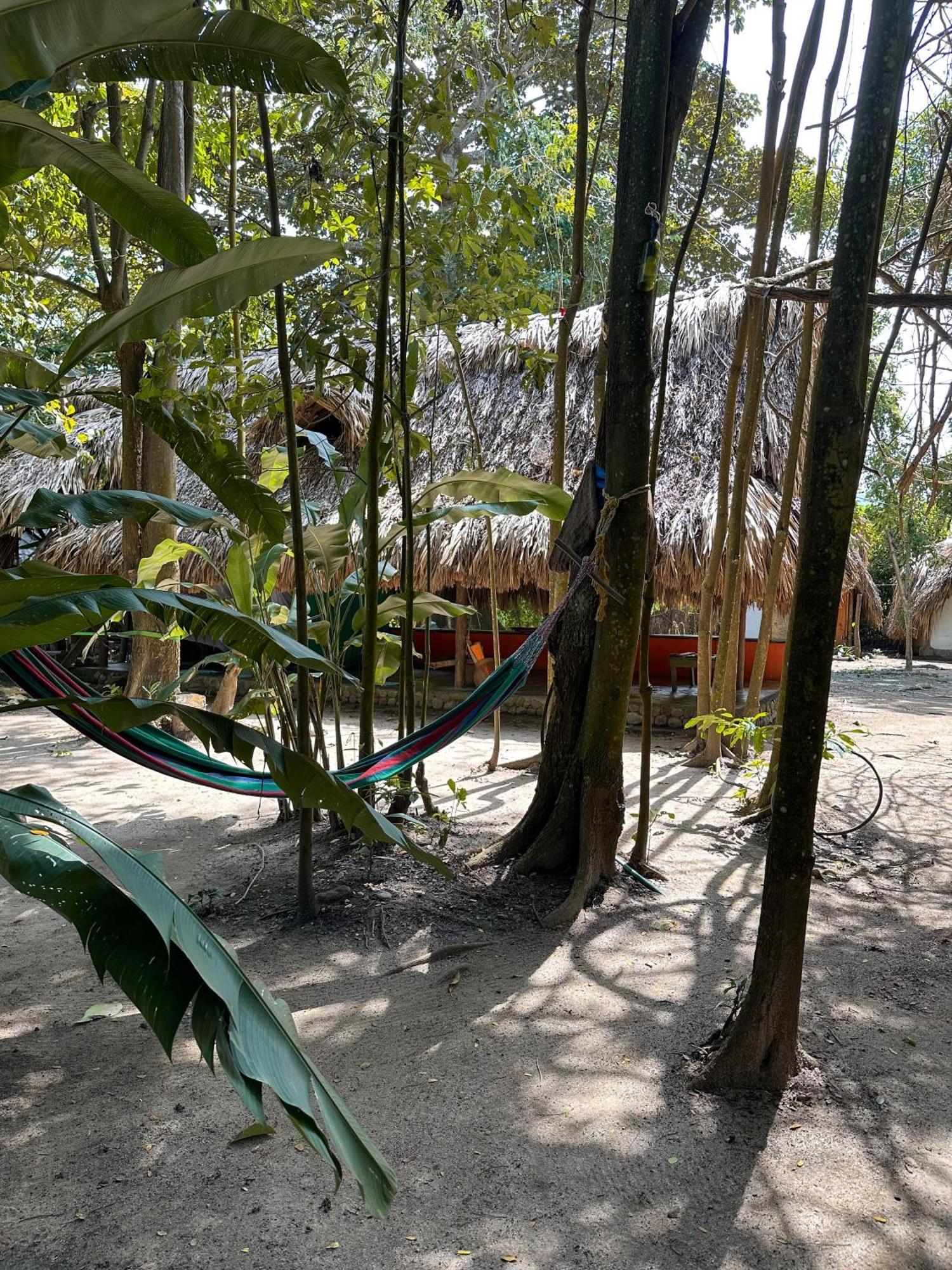 La Aldea Hostel, Camping Y Hamacas Palomino Dış mekan fotoğraf