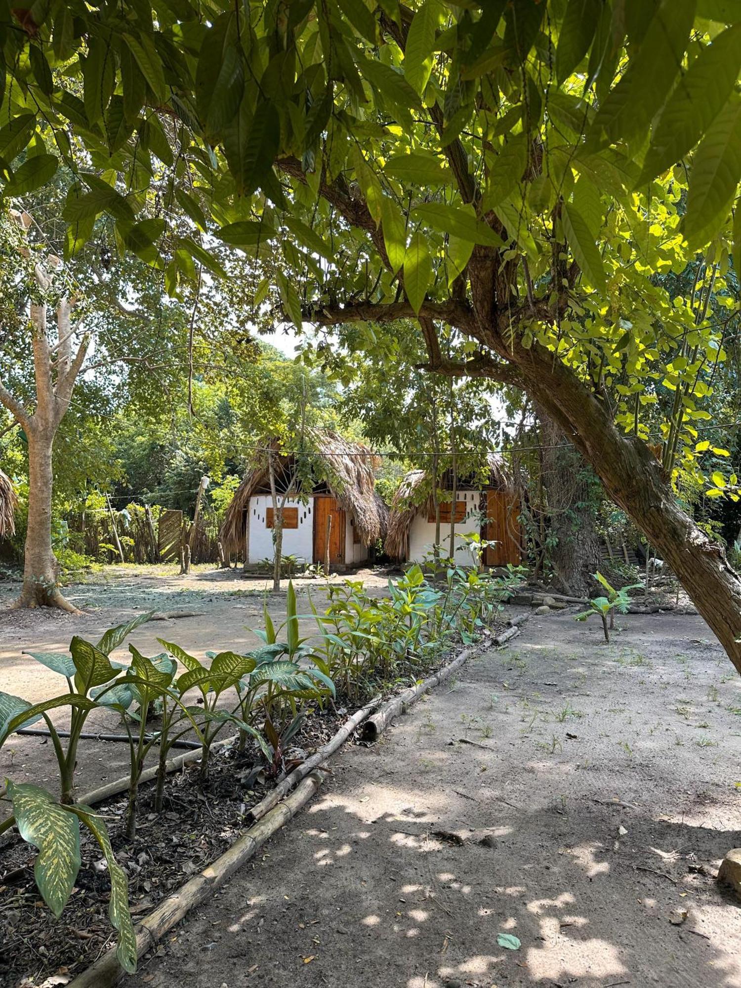 La Aldea Hostel, Camping Y Hamacas Palomino Dış mekan fotoğraf
